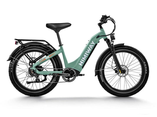 Himiway D5 ST(Zebra ST) / All-terrain Electric Fat Bike - HMW-D5-PW-ST-US-02