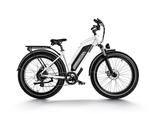 Himiway D3(Cruiser) / Long Range Fat Tire Electric Bike - HIMIWAY-CRUISER-05