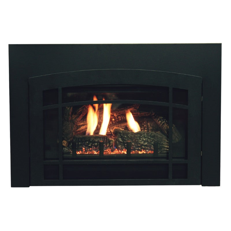 Empire Innsbrook Medium Clean Face Direct Vent Gas Insert | DVC26IN