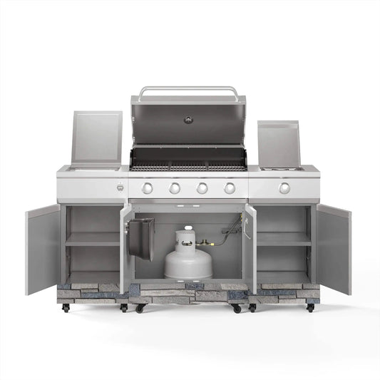 TYTUS Fresno 5-Burner LP/NG Convertible Grill in Stainless Steel + Shadow Stone - TDT-021-0702