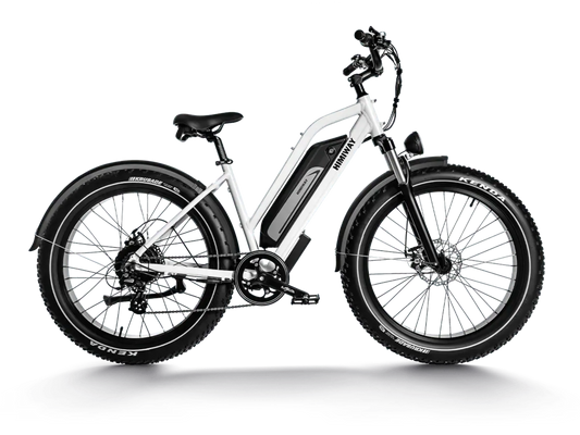 Himiway D3 ST(Cruiser ST) / All Terrain Electric Bike - CRUISER-STEP-THRU-05