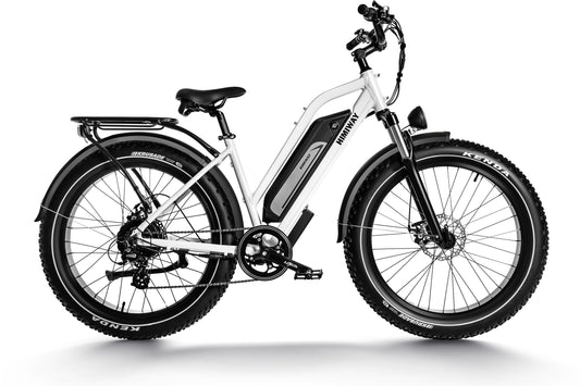 Himiway D3 ST(Cruiser ST) / All Terrain Electric Bike - CRUISER-STEP-THRU-05