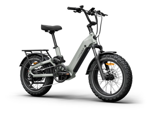 Himiway D5<sup> 2.0</sup> 20" eBike - HMW-D52.0-20-CN-US